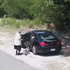 前方的車突然停駛，帶狗下車後便揚長而去！狗狗在路邊頓時無依無靠令人鼻酸！（動圖）