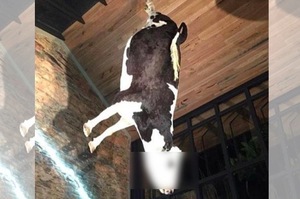 「噁心、邪惡！」餐廳將牛屍吊天花板裝飾，遭網友罵翻！但其實隱藏某種訊息...？！