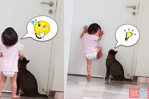 可愛版監獄風雲，妹妹跟貓咪溝通後決定一起合作越獄，最後一張照片讓網友笑慘了！