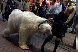 正妹牽「北極熊」逛大街！日本民眾看了嚇到腿軟！！（附影片）