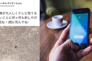 因為用手打死了一隻蚊子，然後把照片PO上網...這位日本網友的帳號竟然就被封鎖了！！
