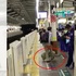 導盲犬被主人踢了一腳後，夾尾害怕繼續引路！協會「已鎖定主人，絕對嚴逞不寬貸！」（影片）