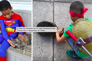 5歲男孩為了幫助流浪貓，想到了一個好辦法...他運用天賦幫助貓咪的模樣讓人超感動！