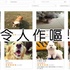 「共享經濟」興起流行，現在卻有業者「共享寵物」，而且「可以包月」真的令人作嘔！