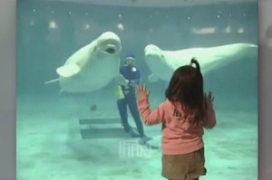 小女孩趴在窗前看著白鯨，下一秒白鯨從嘴巴吐出...真的太美了！
