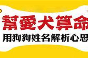 用狗狗姓名看穿牠的心思，教你如何解析愛犬內心世界....不要錯過！