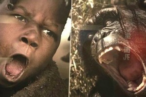 種族歧視？大陸博物館將「非洲人」照片跟「猩猩」擺一起展出，引起網路眾怒！