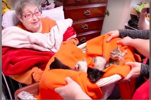 為了完成老奶奶的心願，志工們偷偷準備了一籃「驚喜」...奶奶看到後開心的模樣讓人超暖心！(影片)