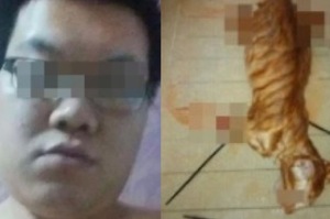 肢解穿舌下油鍋，廣東學生買貓咪回宿舍酷刑凌虐，還說自己「沒違反校規！」