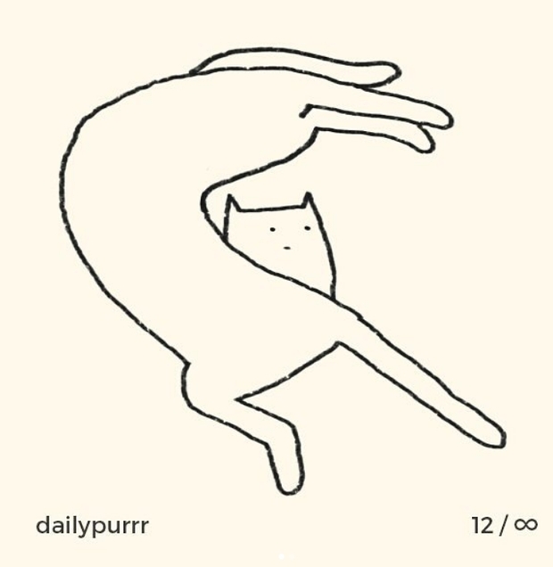 dailypurrr