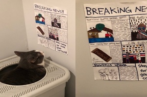 怕喵喵上廁所太無聊，小姊姊們認真製作好幾期「喵星報」，讓愛貓上廁所時可以得知喵星球的消息