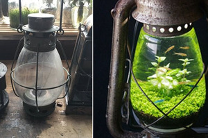網友超有才！利用廢棄煤油燈打造超美魚缸，美到不可思議！