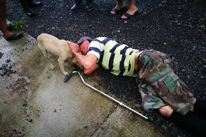 窮困主人突然倒地不起...狗狗急奔向獸醫求救！大雨中也不願離去，拼命想舔醒主人！