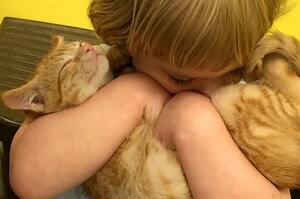 第一眼就愛上你，一到收容所就對橘貓「一見鍾情」，三個月了...小妹妹跟橘貓依然堅定的情誼讓人超感動！