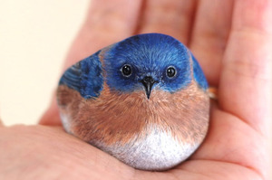 「好可愛的藍色鳥鳥...」網友手捧超美藍色鳥寶，沒想到真實身分讓人大吃一驚！