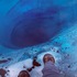 住在「全世界最深處」的動物是什麼？令人恐懼的馬里安納海溝「最底層」生物揭秘！