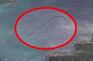全世界七個在Google地圖上被發現的「神秘水怪」！看完覺得大海真的深不可測！