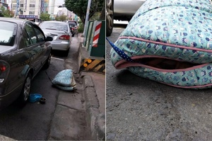 又冷又濕！車胎旁擺飼料和水還「綁車外過夜」，狗狗冷到躲窩裡發抖