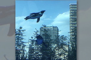 「抬頭一看...居然有企鵝飛在空中！」超有創意的水族造景讓網友都超驚奇！