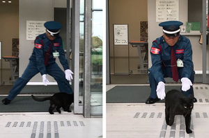 美術館裡正在舉辦「貓咪展」，浪喵也想進去參觀...卻被警衛攔截：你沒買票啦！