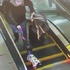 女主人發呆導致狗狗後腳被捲入手扶梯，路人眼疾手快救回一條生命