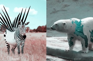 天馬行空的創造力！法藝術家用修圖把動物變得不可思議！真的是夢幻的讓人大開眼界啊！