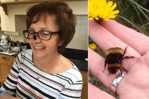 在花園撿到一隻「沒有翅膀」的大黃蜂，與女子建立特殊友誼，最喜歡被捧在手心簡直不可思議！
