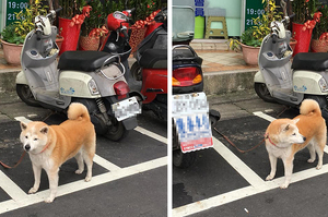 想停車卻遇到沒品的「肉身佔車位」...但看到這個「惡霸」，讓人完全罵不下去啊！