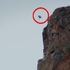 小雞從400英尺高懸崖跳下找媽媽，以為完蛋了，沒想到居然是開心結局！看完忍不住激動流淚！