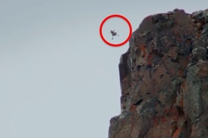 小雞從400英尺高懸崖跳下找媽媽，以為完蛋了，沒想到居然是開心結局！看完忍不住激動流淚！