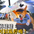 可愛柯基變身「交通警察」...萌到網友都暴動：拜託來開我單！＃造型好厲害 ＃背後故事超感人
