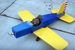 男子做了一台玩具飛機，結果被松鼠「劫機」......而且還起飛了？！？！