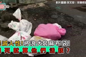 泯滅人性!將浪犬裝到麻布袋！悶死就算他們活該？