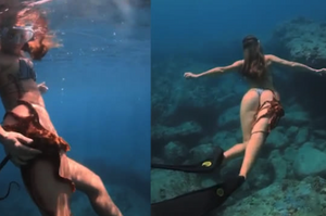 不速之客甩也甩不掉！美女在夏威夷潛水時，被章魚纏上腿
