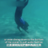 這隻狗狗太酷！潛入海底幫助清理海洋垃圾！ 