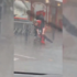 暖心店員狂風暴雨中為小狗披外套，暖心行為爆紅網路