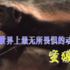世界上最不怕死的動物你見過嗎？脾氣超大，見誰打誰！金氏世界紀錄：「世界上最無所畏懼的動物」