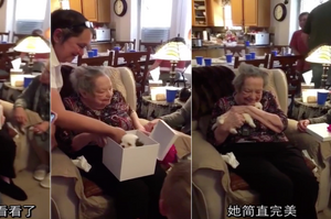 96歲的奶奶在生日當天收到了一隻小奶狗作為禮物，奶奶的反應也是暖心了
