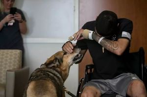 遭遇炸彈襲擊，軍犬斷腿後仍死守士兵，「請站到我的身後！」