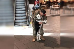 女兵服役兩年後回家，狗狗見到主人的那一刻激動到飛起！