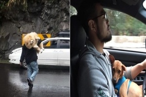 男人養狗的畫風，原來和你想象的完全不同