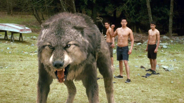 狼人 真的存在嗎 為什麼 狼人 全都是胸肌活跳跳的暖男小鮮