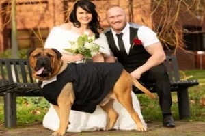 得知愛犬患病，她選擇提前結婚：「為了牠，一切都值得」