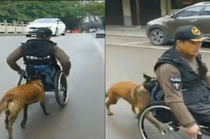 男子癱瘓後十年不願出門，直到一隻狗的出現