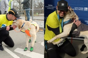 三隻導盲犬助力視障人士跑完半馬：「我們來幫你完成夢想！」