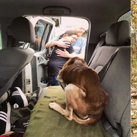 少女多次「在荒山聽到哀鳴聲」，附近居民說只是狼嚎不用管！上山尋找真相竟發現「一隻奄奄一息的狗」