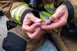 消防隊員製造「迷你氧氣罩」幫助火災中受困的倉鼠一家！