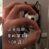 這個動作，所有狗都能做，除了二哈！二哈腦迴路：「這是陷阱，莫輕舉妄動」
