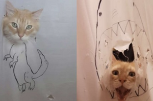 怪貓總是撕破浴簾把頭探出來看麻麻洗澡，於是麻麻每次都把牠變成「現代藝術」
