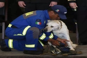 救過50多人的搜救犬退休，訓導員把牠的裝備換成了玩具：你值得幸福的餘生